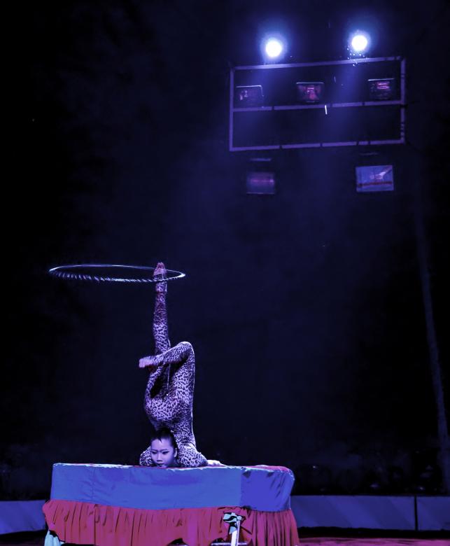 Free stock image of Circus acrobat created by DEEPU DAS