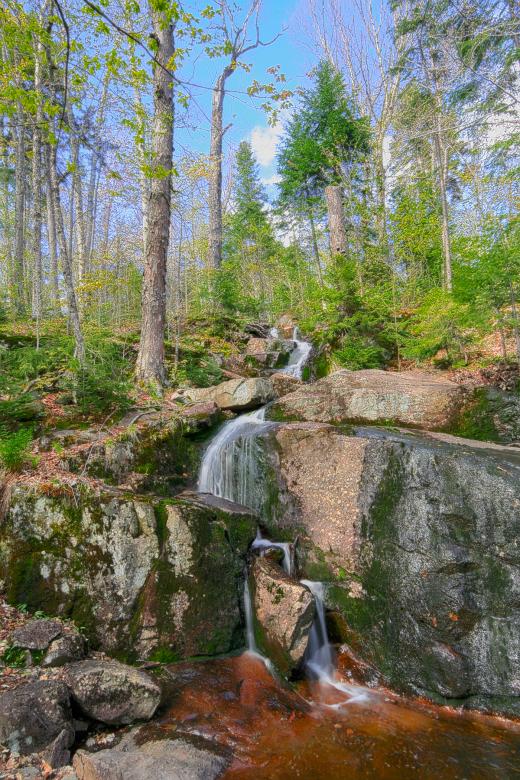 Free stock image of Trickling Forest Stream - HDR created by Nicolas Raymond