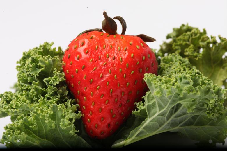 Free stock image of Red Strawberry on kale created by Jared Davidson