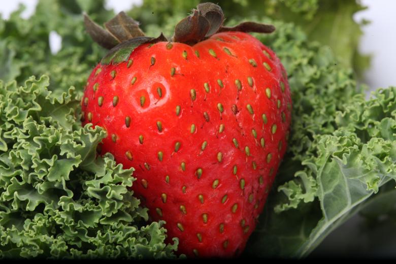 Free stock image of Red Strawberry on kale created by Jared Davidson