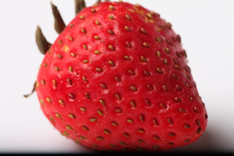 Free stock image of Strawberry isolated on white background created by Jared Davidson