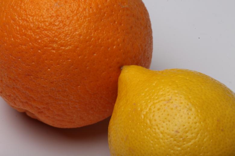 Free stock image of Lemon and Orange Isolated on white created by Jared Davidson