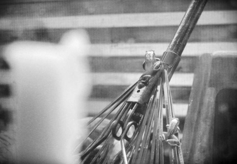 Free stock image of Frog Rake created by Krista Warner