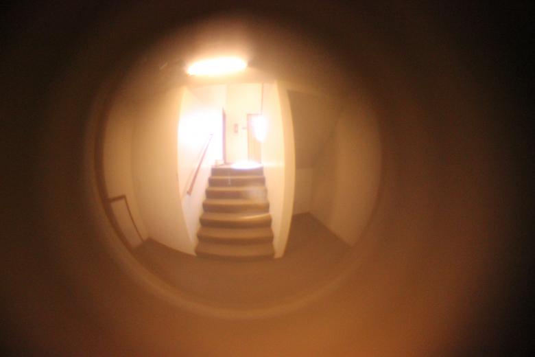 Free stock image of Fish-eye View created by Krista Warner