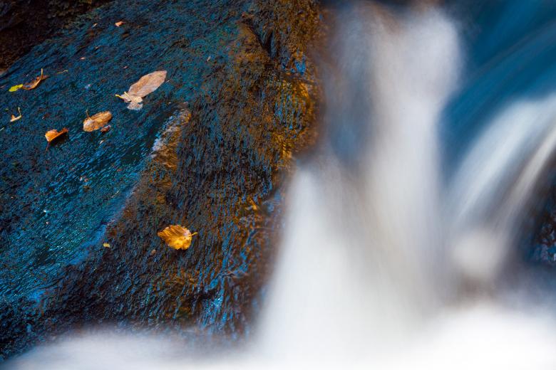 Free stock image of Autumn Stream created by Geoffrey Whiteway