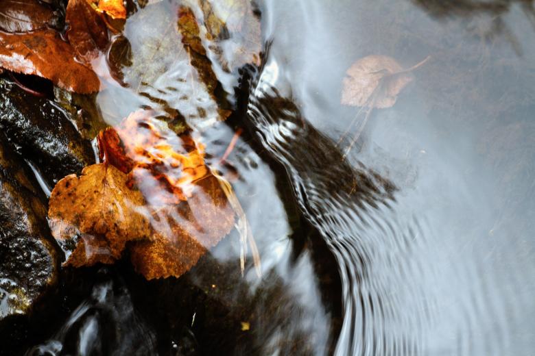 Free stock image of Autumn Stream created by Geoffrey Whiteway