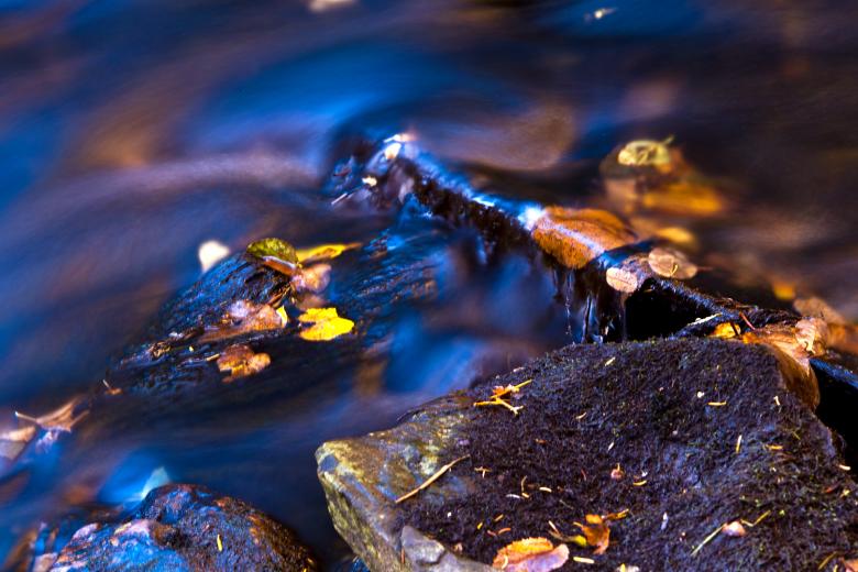 Free stock image of Autumn Stream created by Geoffrey Whiteway