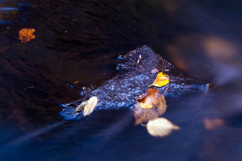 Free stock image of Autumn Stream created by Geoffrey Whiteway