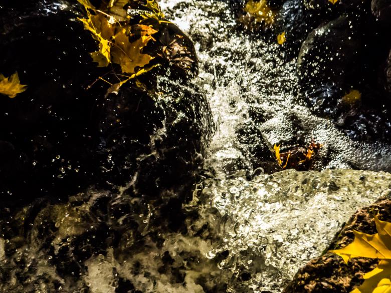 Free stock image of Autumn beauty  created by Janis Urtans