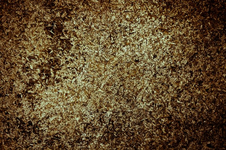 Free stock image of Old Worn Plywood created by Free Texture Friday
