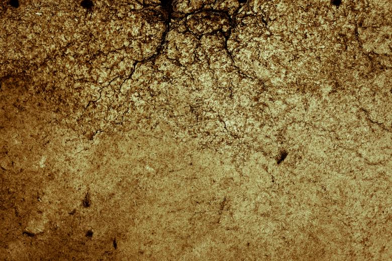 Free stock image of Old Plywood Wall created by Free Texture Friday