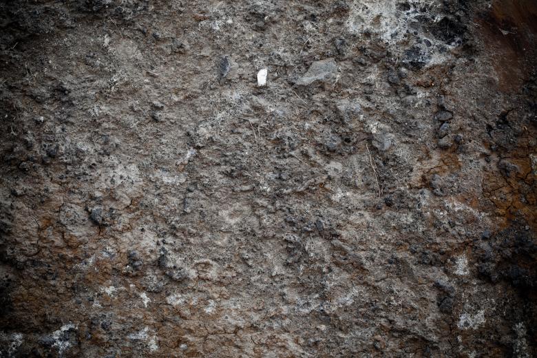 Free stock image of Muddy Soil created by Free Texture Friday