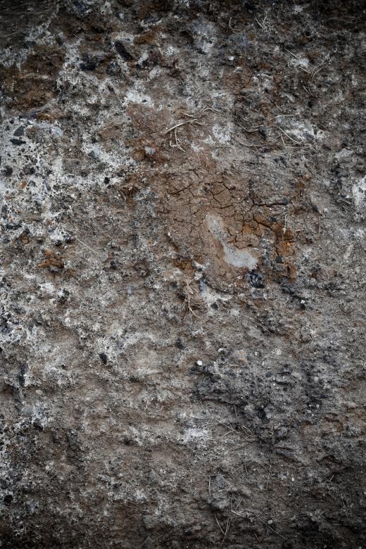 Free stock image of Muddy Soil Background created by Free Texture Friday