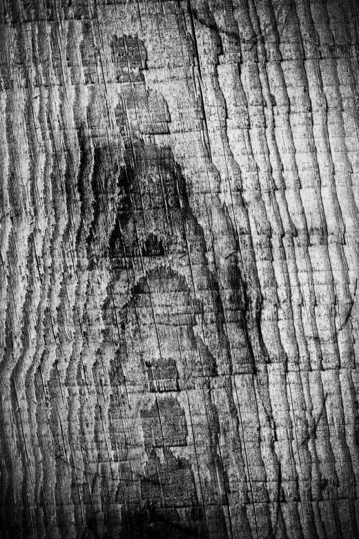 Free stock image of Grunge Wood Texture created by Free Texture Friday