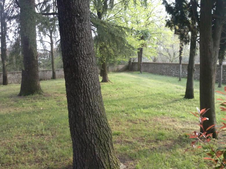 Free stock image of Wall in tree garden created by francesco scanagatta