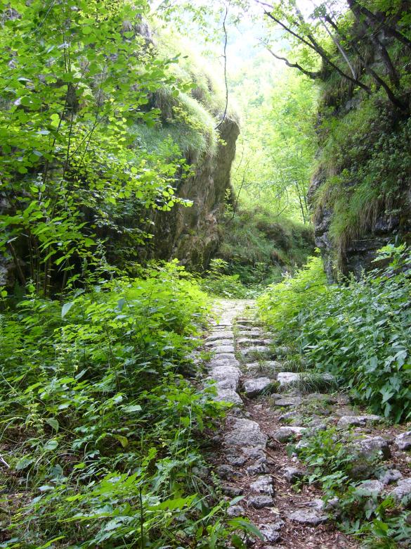 Free stock image of Footpath in stone created by francesco scanagatta