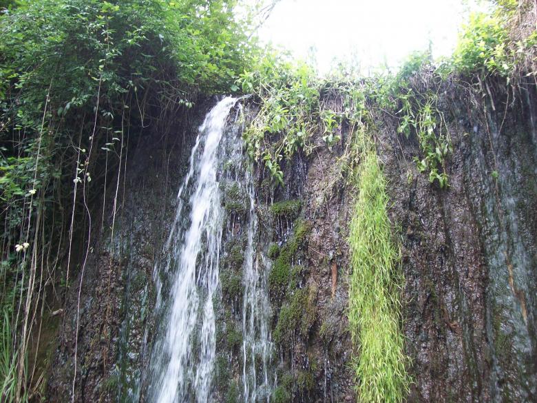 Free stock image of Small Waterfall created by francesco scanagatta