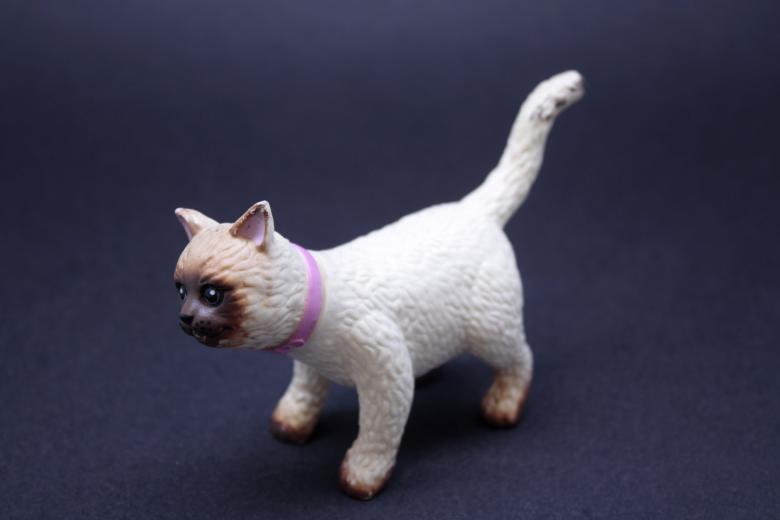 Free stock image of Rubber toy cat created by homero chapa