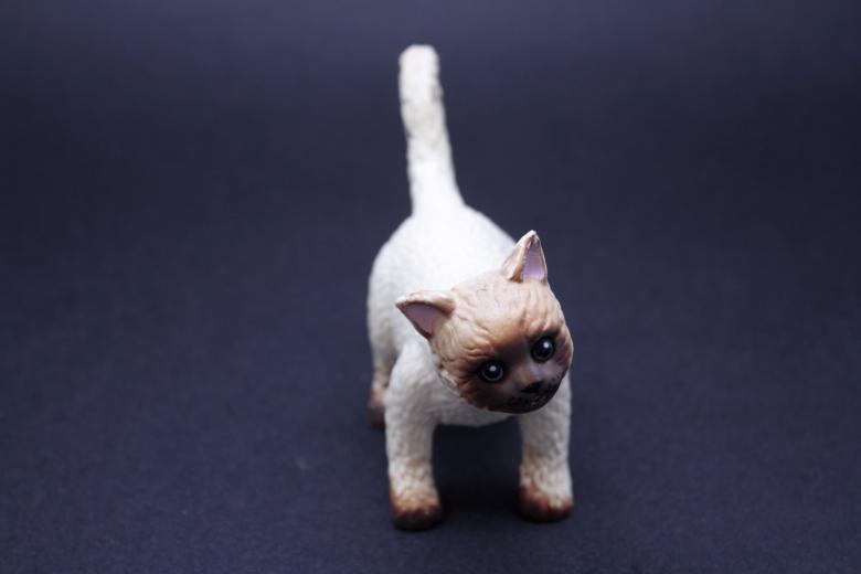 Free stock image of Rubber toy cat created by homero chapa