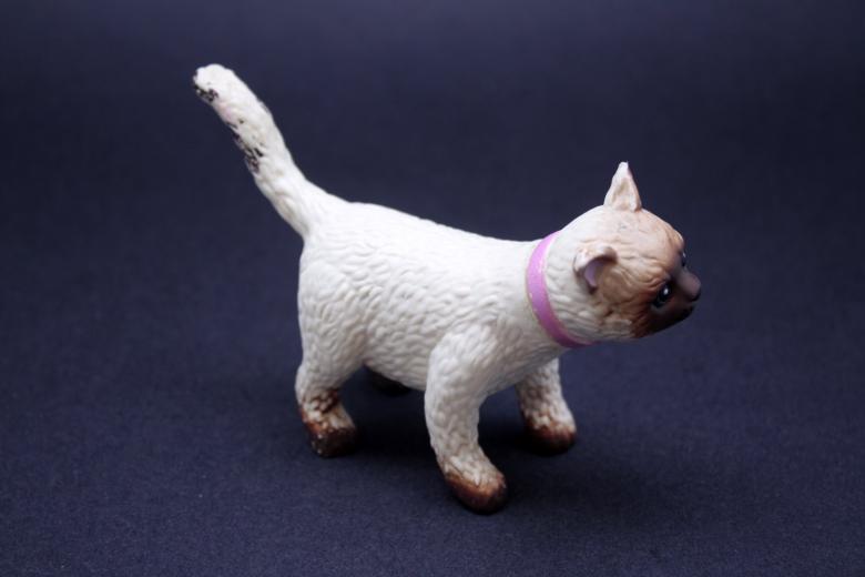 Free stock image of Rubber toy cat created by homero chapa
