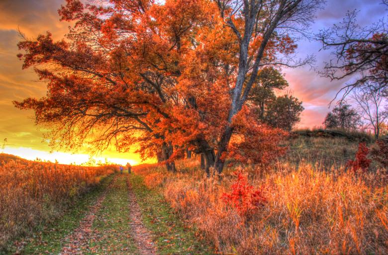 Free stock image of Sunset on trail created by Yinan Chen
