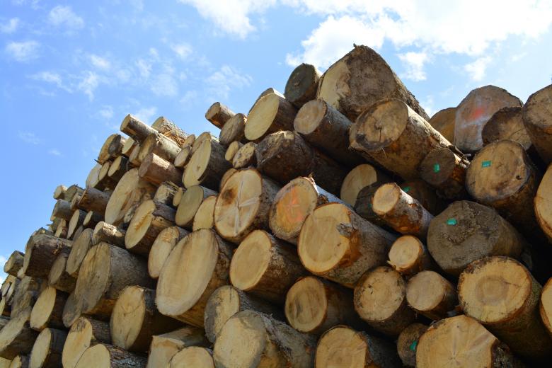 Free stock image of Wood logs created by Matija
