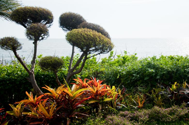 Free stock image of Beautiful gardens by the sea created by Luka