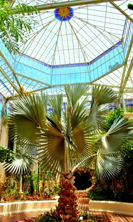 Free stock image of Trees in the Building created by Robert Priest