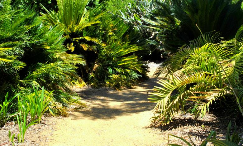Free stock image of Green Garden created by Robert Priest