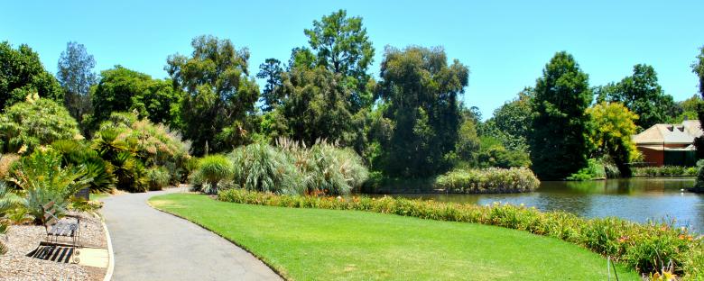 Free stock image of Green Garden created by Robert Priest