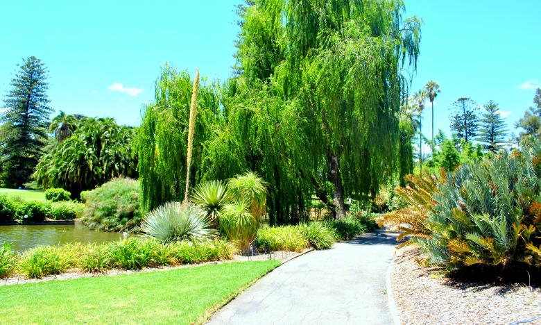 Free stock image of Green Garden created by Robert Priest