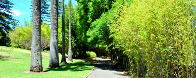 Free stock image of Green Garden created by Robert Priest