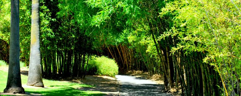 Free stock image of Green Garden created by Robert Priest