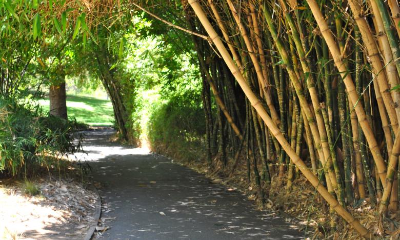 Free stock image of Green Garden created by Robert Priest