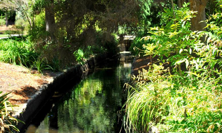 Free stock image of Green Garden created by Robert Priest