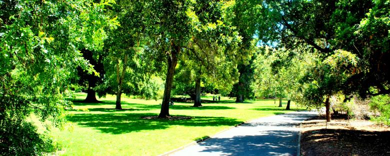 Free stock image of Green Garden created by Robert Priest