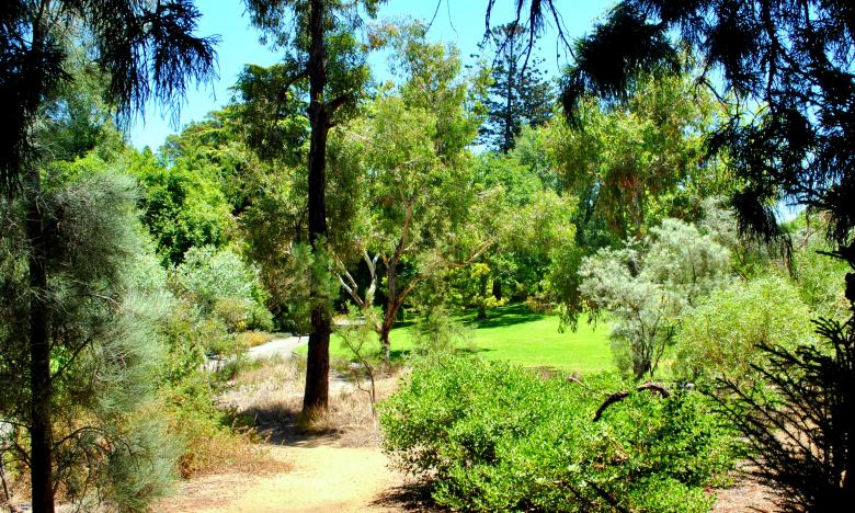 Free stock image of Green Garden created by Robert Priest