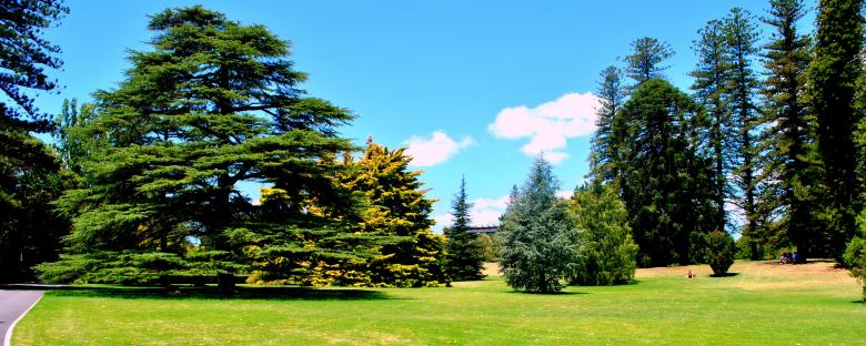 Free stock image of Green Garden created by Robert Priest
