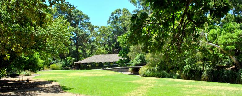 Free stock image of Green Garden created by Robert Priest