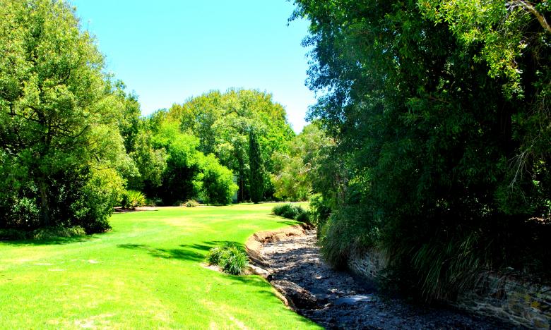 Free stock image of Green Garden created by Robert Priest