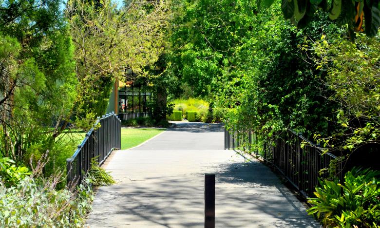 Free stock image of Green Garden created by Robert Priest