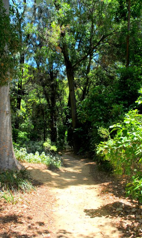 Free stock image of Green Garden created by Robert Priest