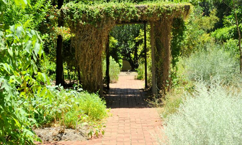 Free stock image of Green Garden created by Robert Priest