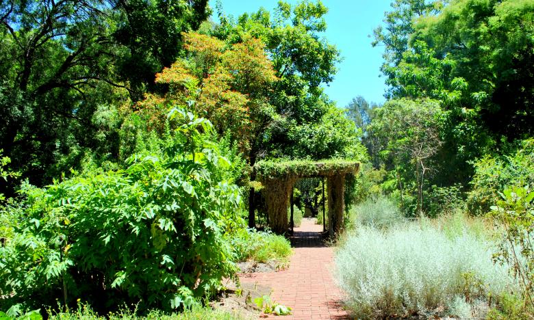 Free stock image of Green Garden created by Robert Priest