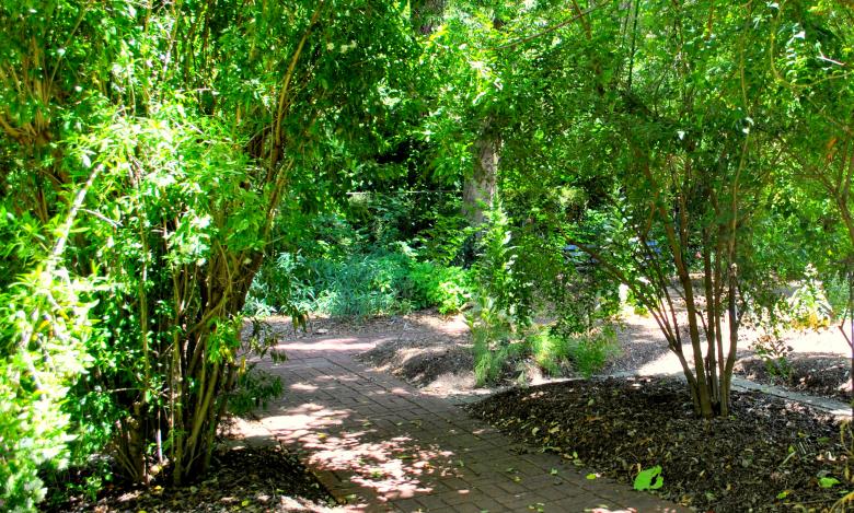Free stock image of Green Garden created by Robert Priest