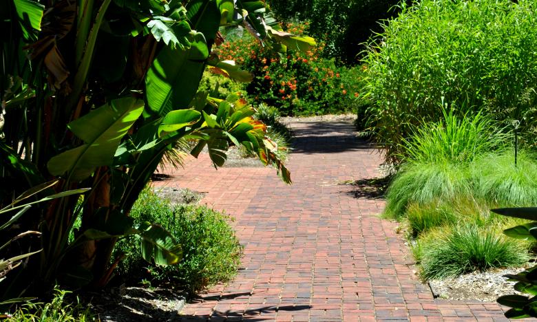 Free stock image of Green Garden created by Robert Priest