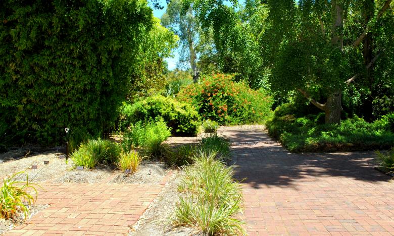 Free stock image of Green Garden created by Robert Priest