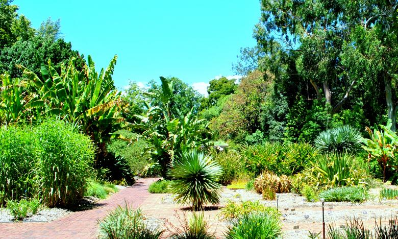Free stock image of Green Plants created by Robert Priest