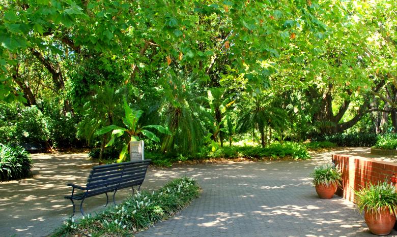 Free stock image of Green Garden created by Robert Priest