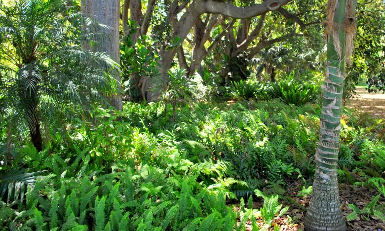 Free stock image of Green Garden created by Robert Priest